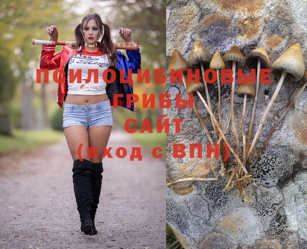 герыч Михайловск