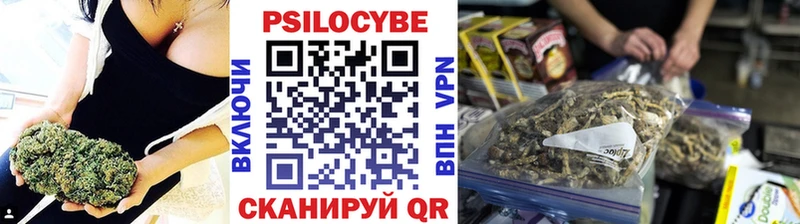 darknet какой сайт  дарнет шоп  Пестово  Галлюциногенные грибы MAGIC MUSHROOMS 